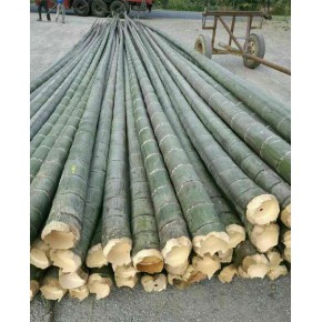 池州竹篱笆 竹篱笆 俊鹏木桩