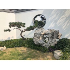 池州景观石 瑶琳瑾一景观石 景观石找哪家
