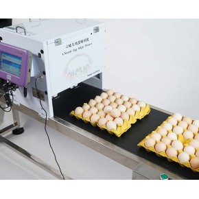 点击详情|亿日喷码 池州六头鸡蛋喷码机
