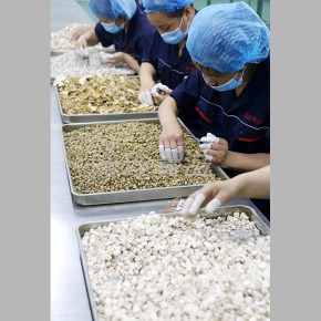 膏滋膏方oem代加工 山东东阿咏珍 池州膏方oem