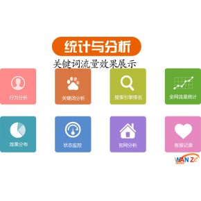 网络seo优化公司 万泽网络推广公司 池州seo优化公司