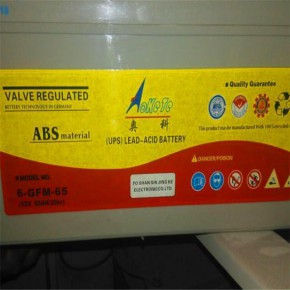 池州市ak奥克蓄电池12v120ah经销商尺寸规格容量