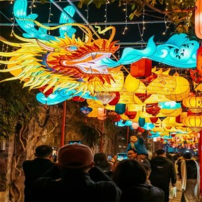 池州市大型节日花灯大型动物花灯制作春节元宵节主题立体花灯彩灯厂家