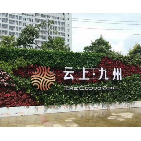 墙体绿植设计 池州墙体绿植 安徽洸森 