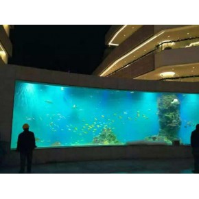 鱼缸专卖店 池州鱼缸 一点水海鲜池制作 