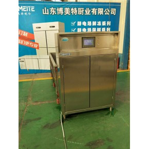 博美特厨具  静电场清洗设备价格 池州静电场清洗设备