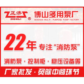 池州恒压泵 恒压泵专业厂家 正济泵业