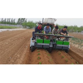 池州移栽机 蔬菜钵苗移栽机 火绒辣椒苗栽植机厂